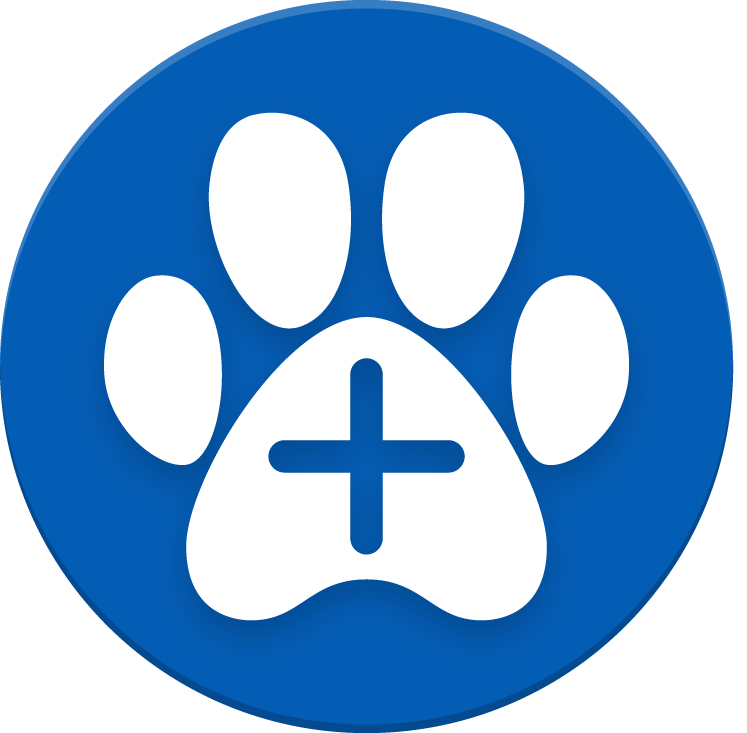 Francisco Javier Gonzalez